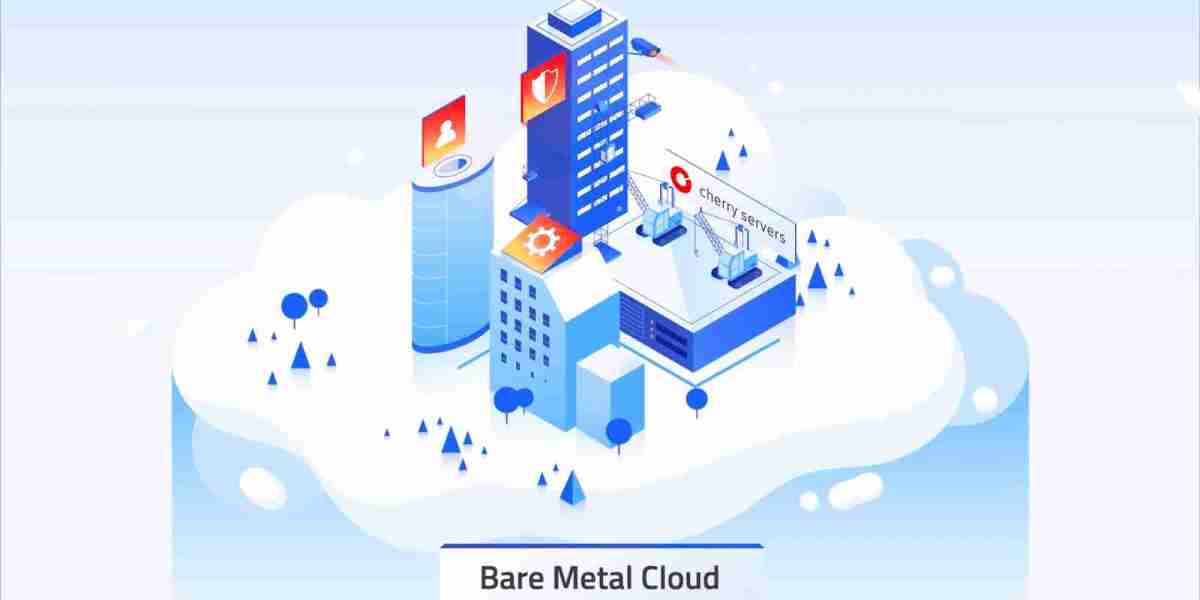 Bare Metal Cloud Market Strategies and Growth Forecast by 2030