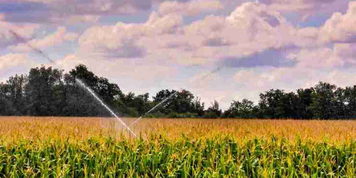 Global Irrigation Equipment Market Set to Soar to $15.75 Billion by 2031"
