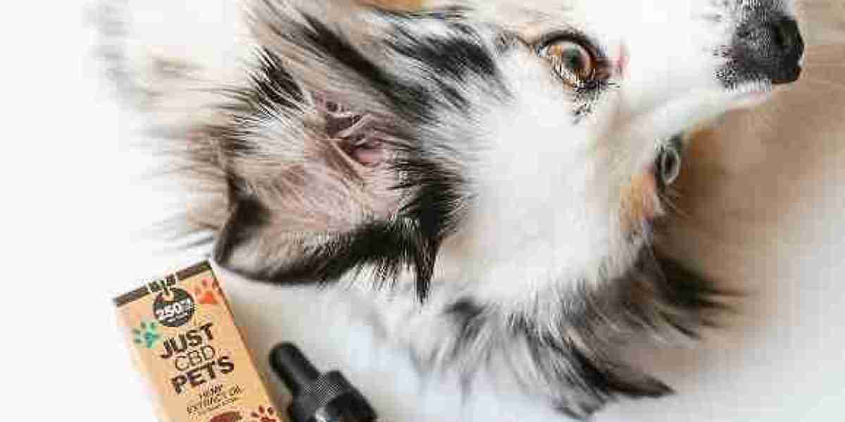 Unveiling Nature's Best: The Ultimate Guide to CBD Oil for You and Your Furry Friends
