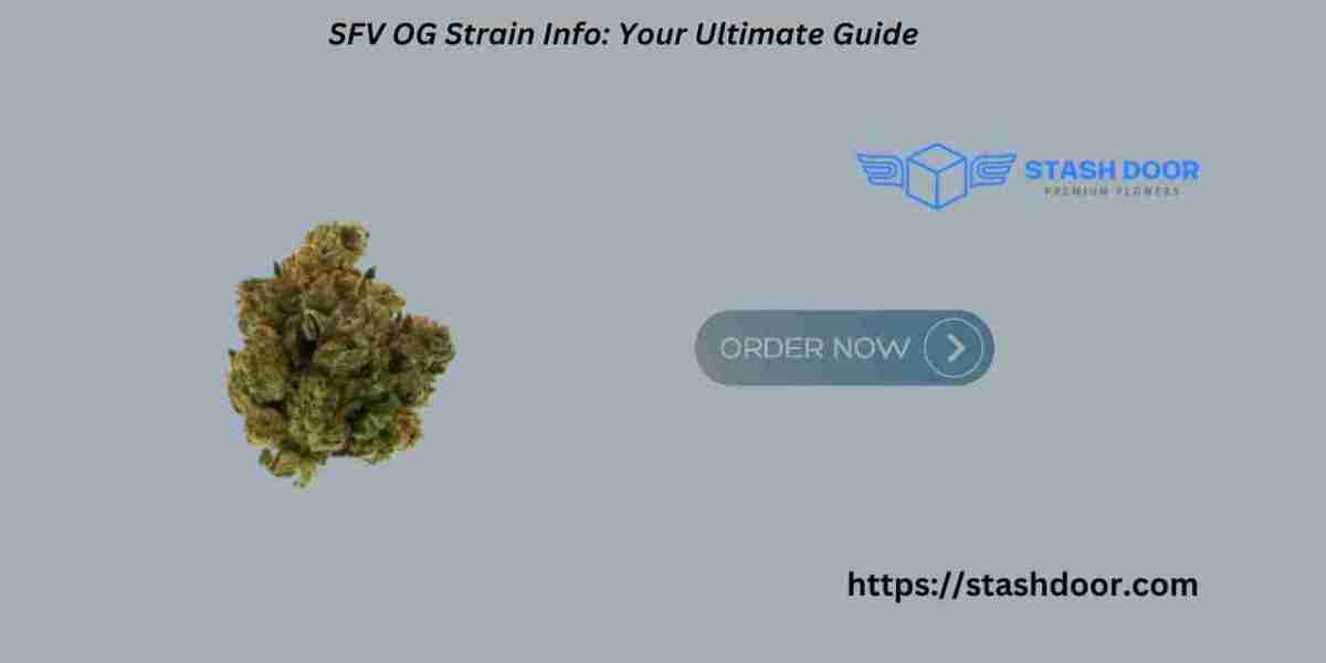 SFV OG Strain Info: Your Ultimate Guide