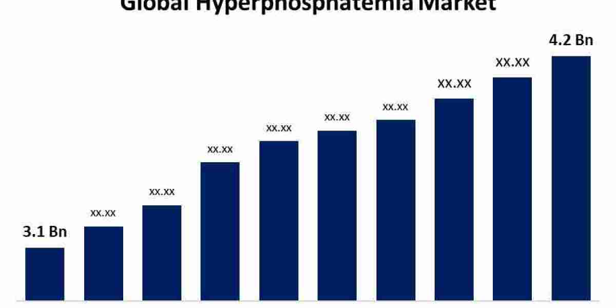 Hyperphosphatemia Therapeutics Market Unidentified Segments – The Biggest Opportunity Of 2024
