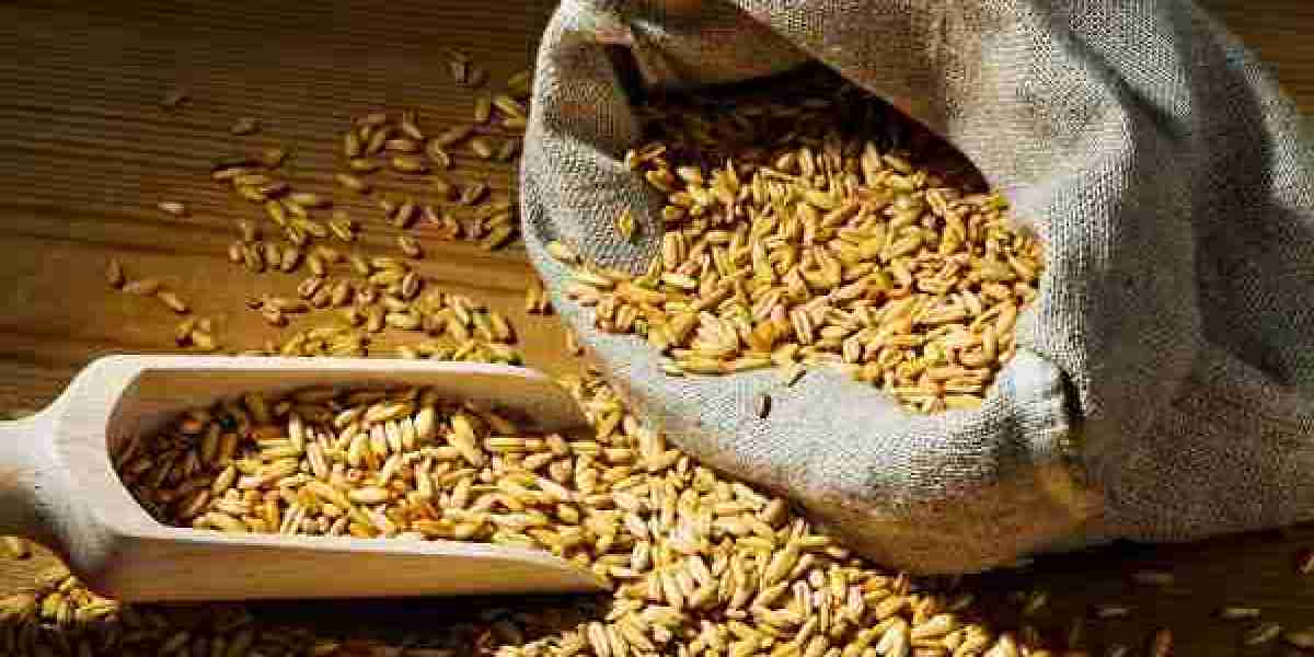 Wheat Bran Market Comprehensive Study Explore Huge Growth in Future
