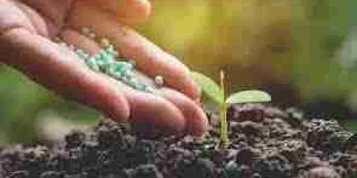 Biofertilizers Market May Double its Market Size by 2023
