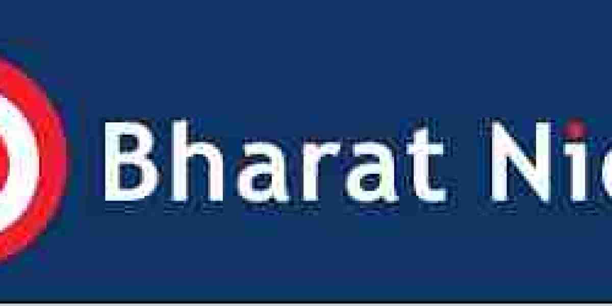 Bharat Nidhi Share Price