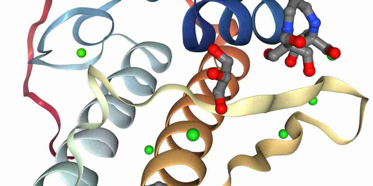 Phospholipase Enzyme Market Size, Outlook Research Report 2023-2032