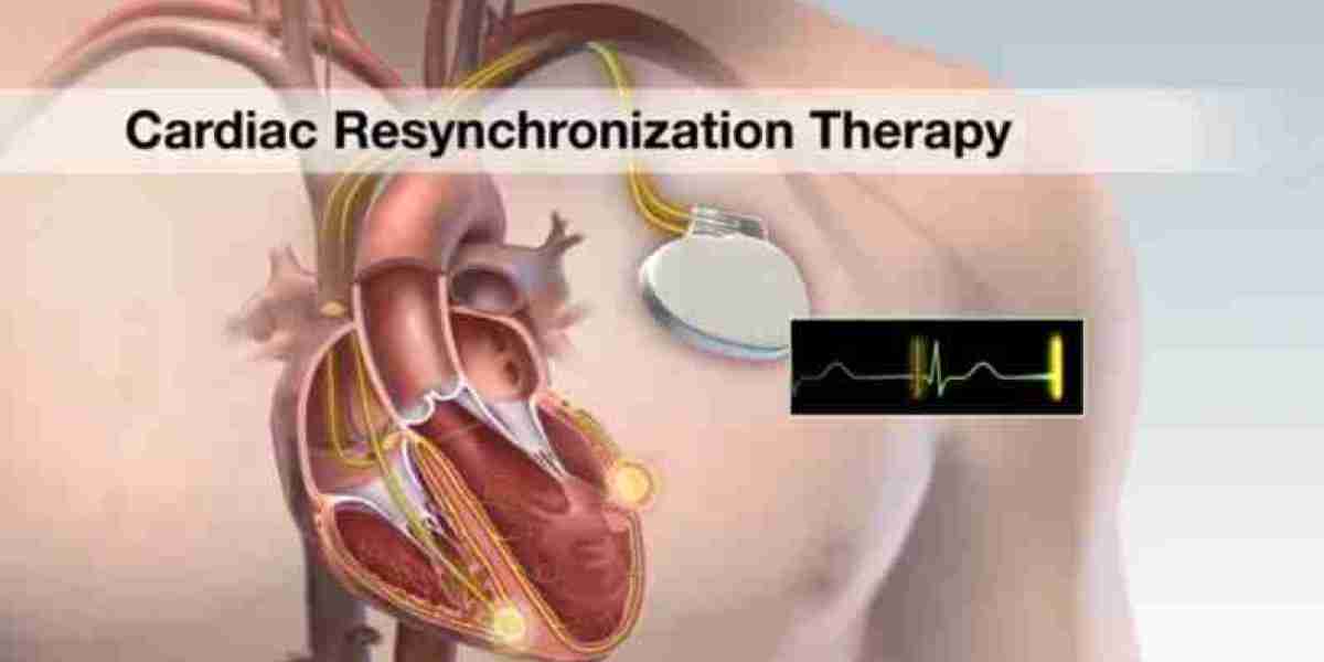 Cardiac Resynchronization Therapy Systems Market Size, In-depth Analysis Report and Global Forecast to 2032