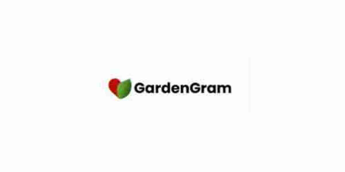 Online Indoor Plants Shopping -  GardenGram