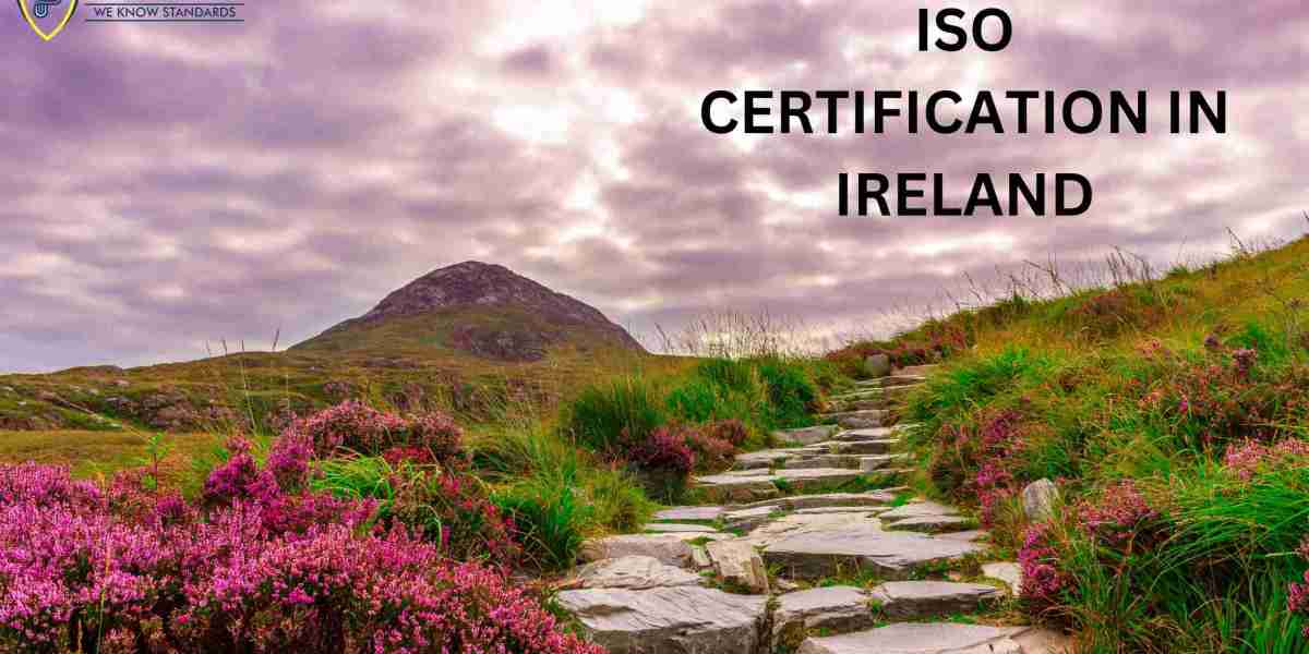What is the process for obtaining ISO certification in Ireland?
