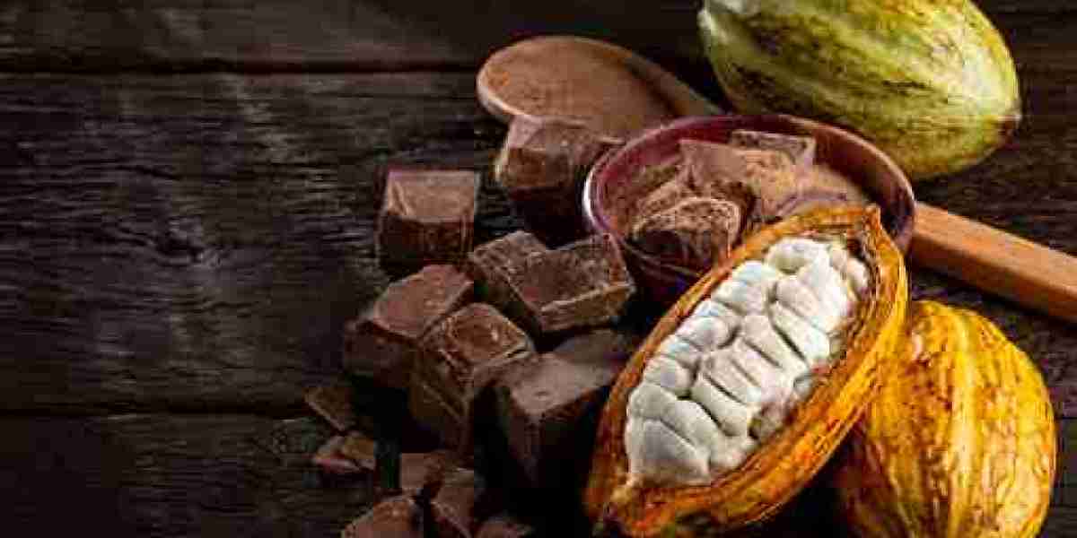 North America Cocoa Chocolate Market: Regional Analysis, Key Players, and Forecast 2030
