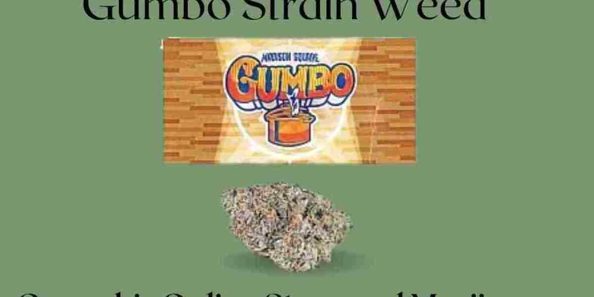 Gumbo Strain Weed: The Next Big Thing in the Cannabis Industry