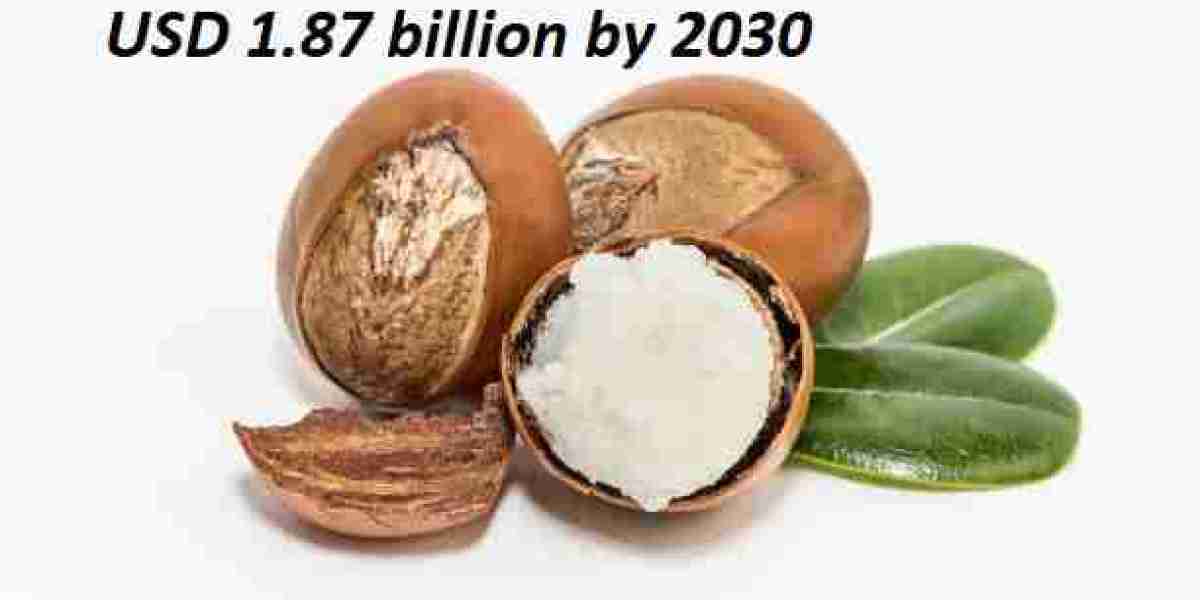 North America Shea Butter Market: Regional Analysis, Key Players, and Forecast 2030