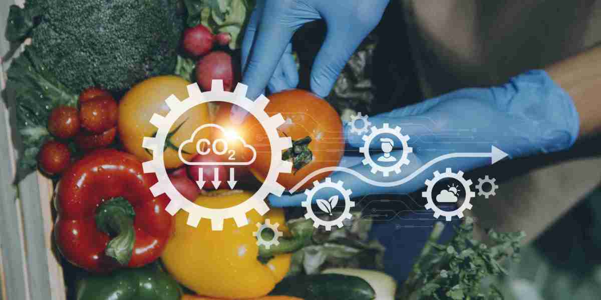 Food Certification Market Size, Outlook Research Report 2023-2032