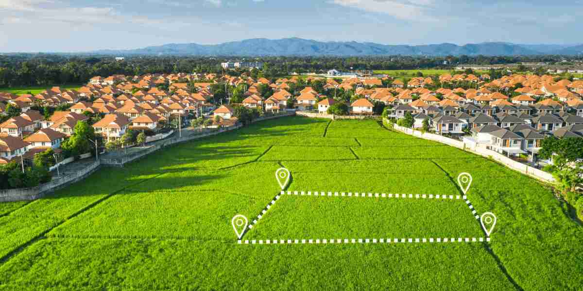 2024–2025 WILL BE A GOLDEN YEAR FOR INVESTMENT IN PLOTS IN MYSORE