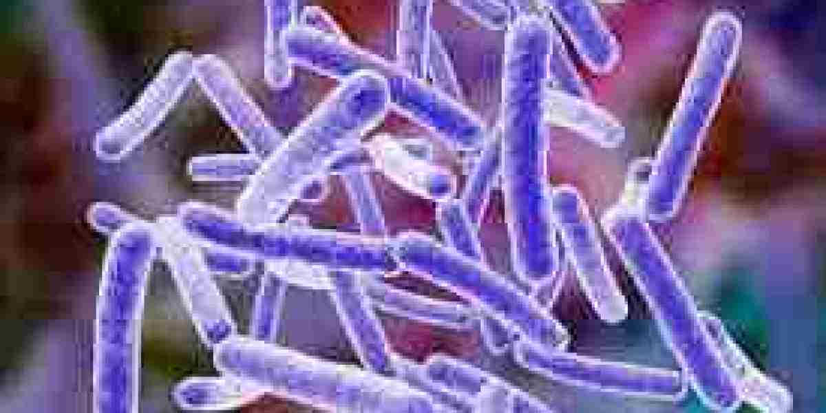 Nontuberculous Mycobacterial (NTM) Infection Market Analysis, Size, Share, Growth, Trends And Forecast Opportunities To 