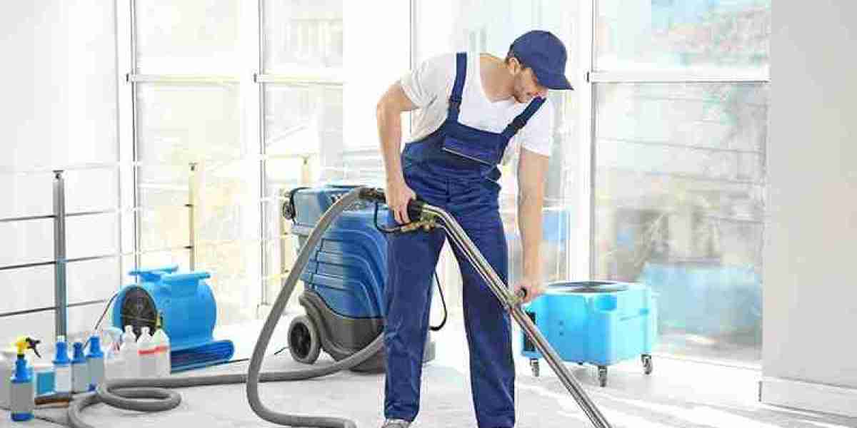 Unveiling the Divide - Professional Carpet Cleaners vs. Amateurs