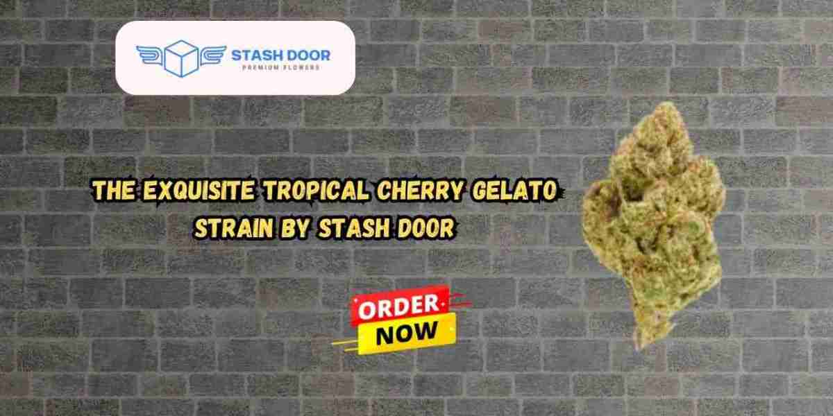 The Exquisite Tropical Cherry Gelato Strain by Stash Door