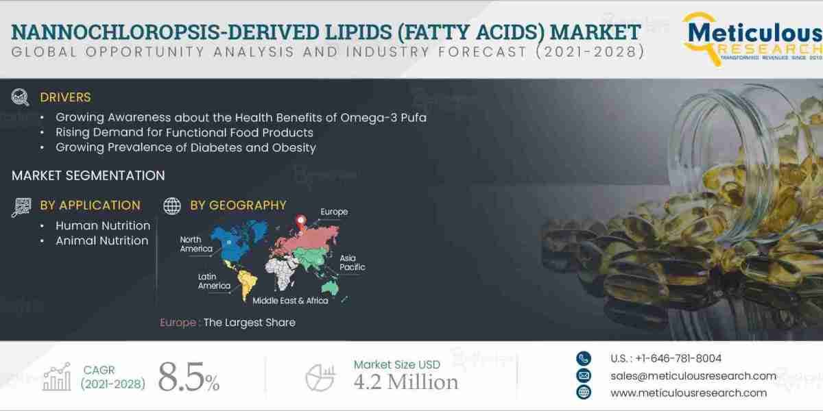 The Nannochloropsis-Derived Lipids (Fatty Acids) Market is poised to reach $4.20 million by 2028.