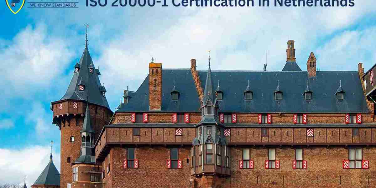 Are there any industry-specific nuances to consider for ISO 20000-1 certification in the Netherlands?