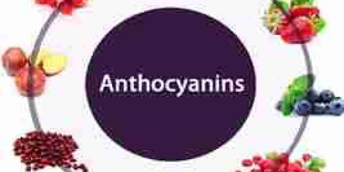Anthocyanin Market Size, Share, Growth Opportunity & Global Forecast to 2032