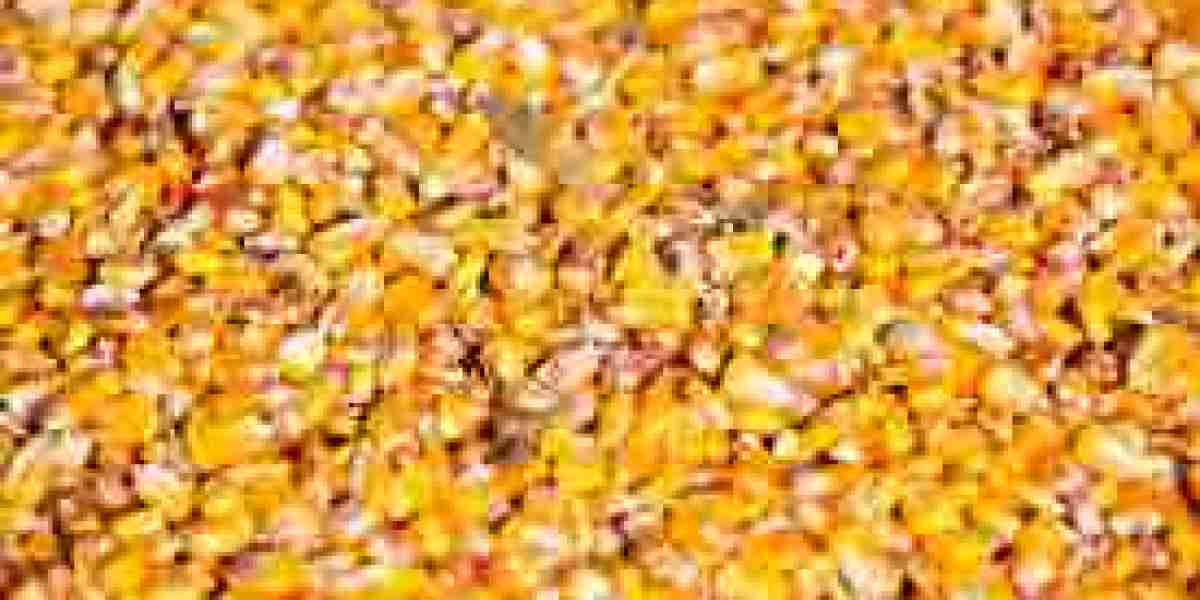 GMO Corn Seed Market: A Compelling Long-Term Growth Story