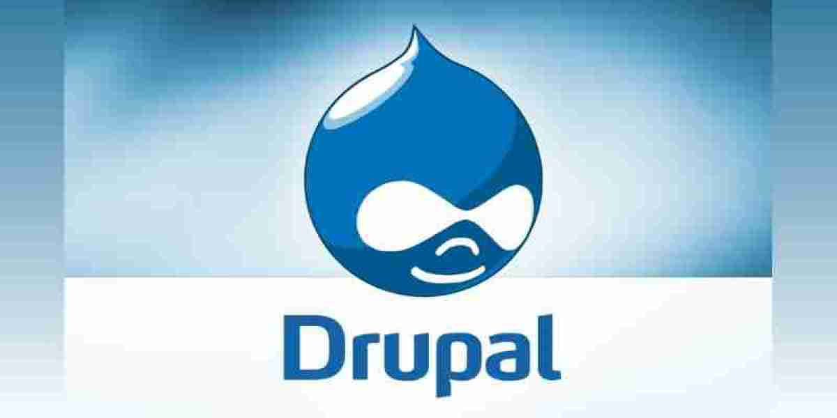 Which Drupal Modules Are Recommended for Security?