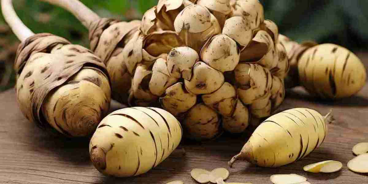 Sunroot Seed Oil (jerusalem artichoke) Processing Plant Project Report 2024: Industry Trends and Unit Setup