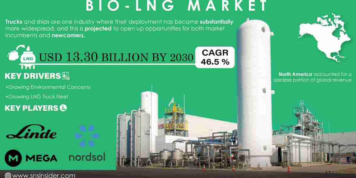 Bio-LNG Market Segmentation and Opportunities Forecast by 2031