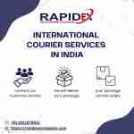 Rapidex Worldwide
