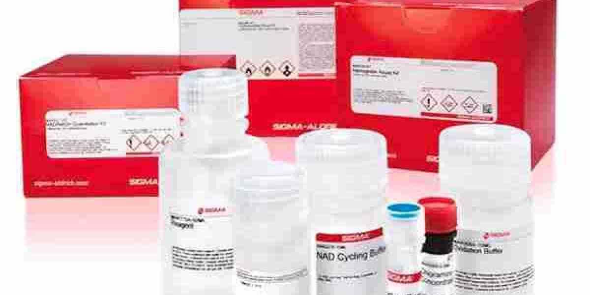 Alkaline Phosphatase Kits Market | Industry Outlook Research Report 2023-2032 By Value Market Research