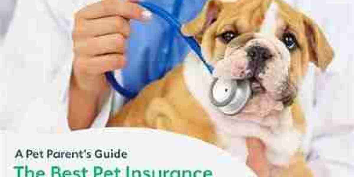 Selecting the most appropriate Pet Insurance Company