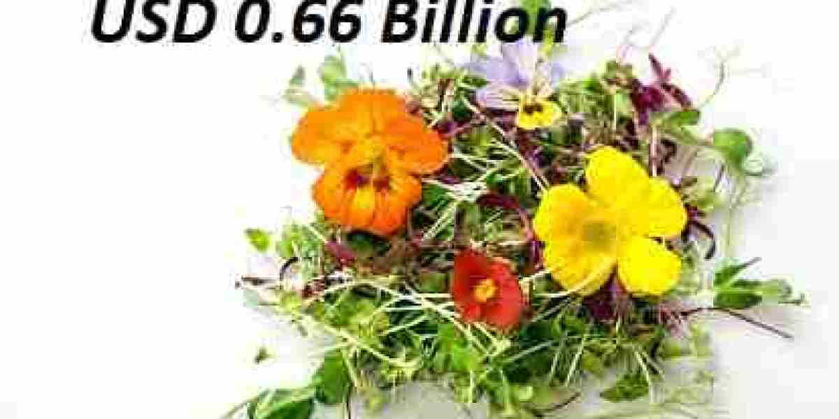 Europe Edible Flowers Market Insights: Growth, Key Players, Demand, and Forecast 2032