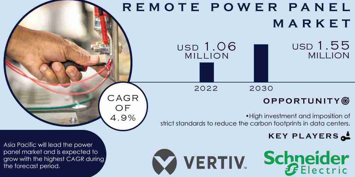 Remote Power Panel Market Global Growth Rate Report | 2031