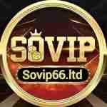 SOVIP66 Nhà Cái SOVIP