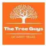 The Tree Guys Of WTX