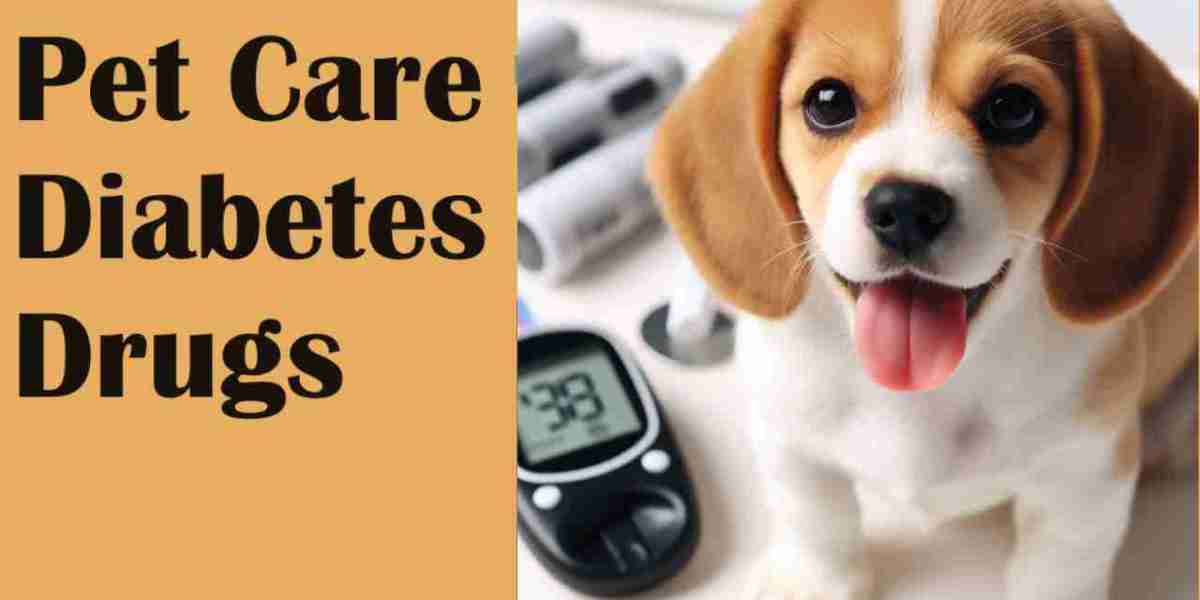 Pet Care Diabetes Drugs Market Size, Key Players Analysis And Forecast To 2032 | Value Market Research