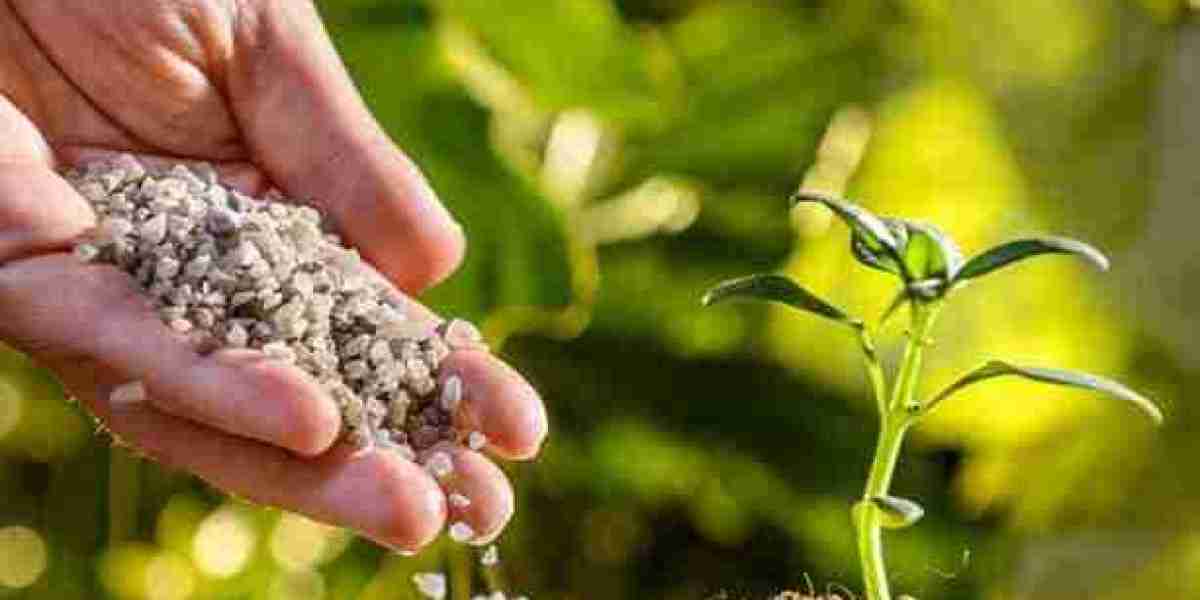 Specialty Fertilizers Market Insights, Status And Forecast to 2030