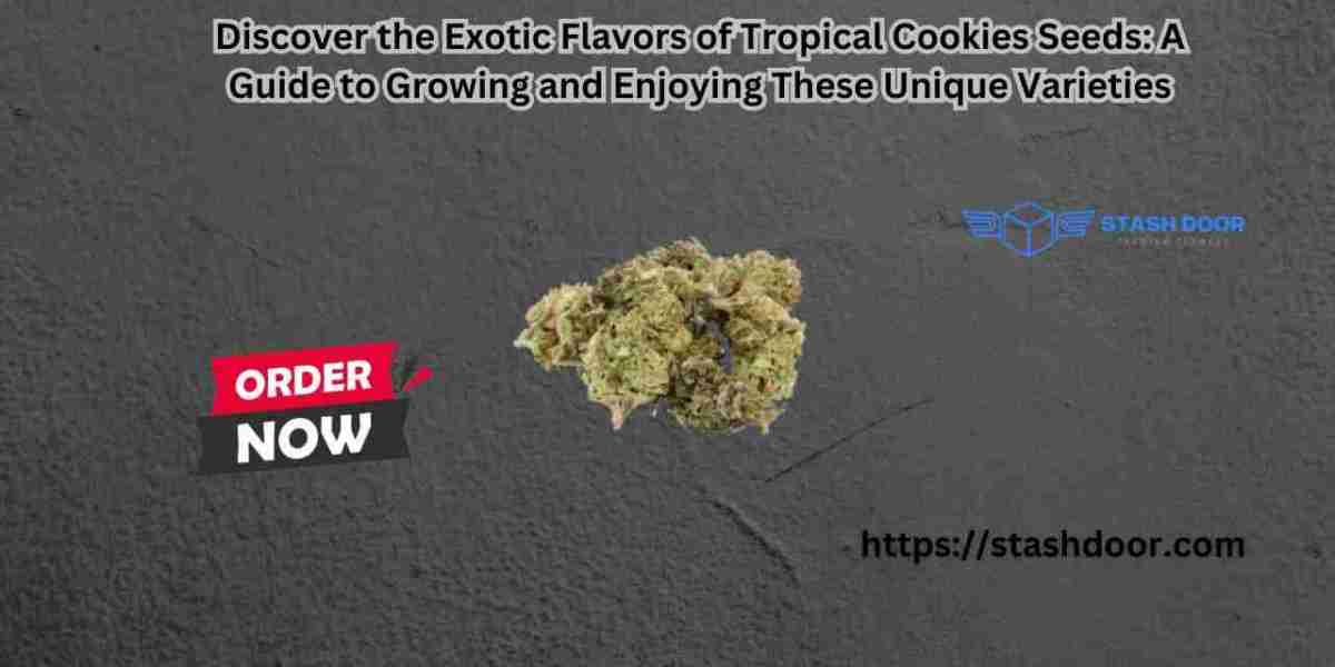 Discover the Exotic Flavors of Tropical Cookies Seeds: A Guide to Growing and Enjoying These Unique Varieties