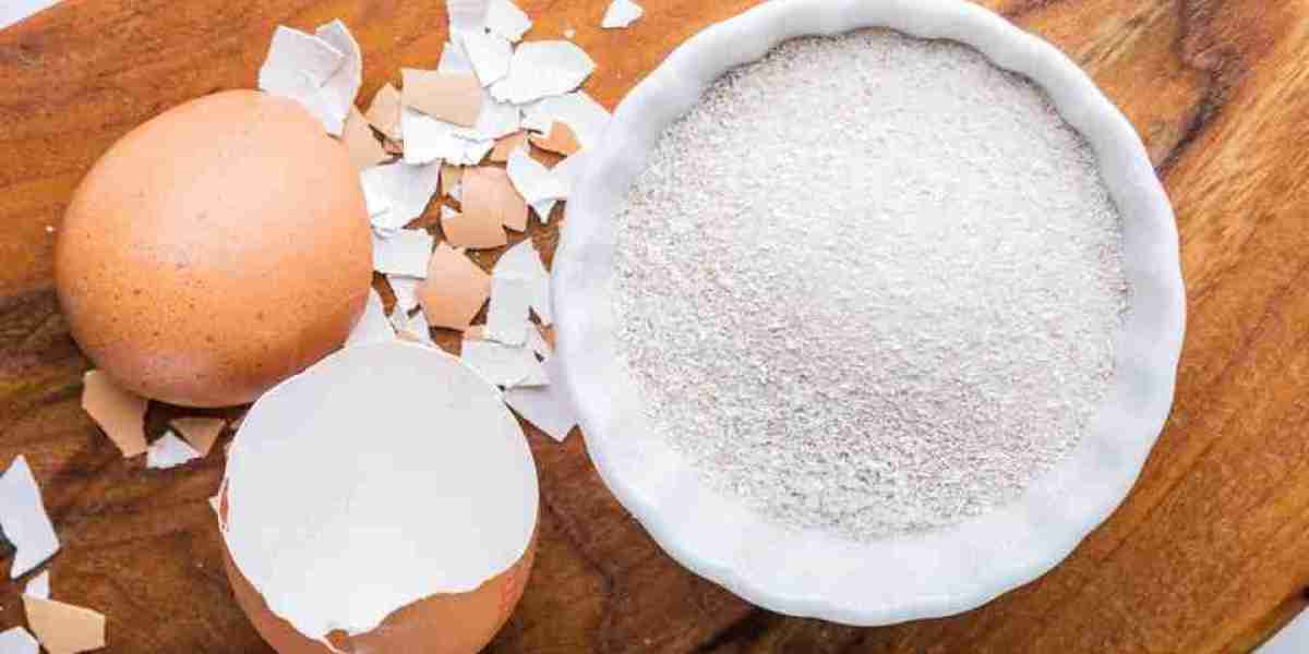 Global  Eggshell Membrane Powder Market Report 2023 to 2032