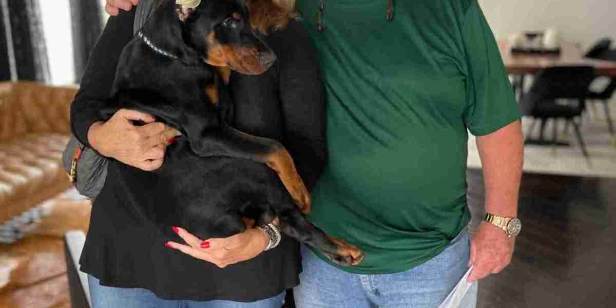 European Doberman Training Essentials: From Basic Obedience to Advanced Commands