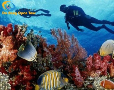 Giá vé tham quan Cù Lao Chàm 2024 (Mới Nhất)