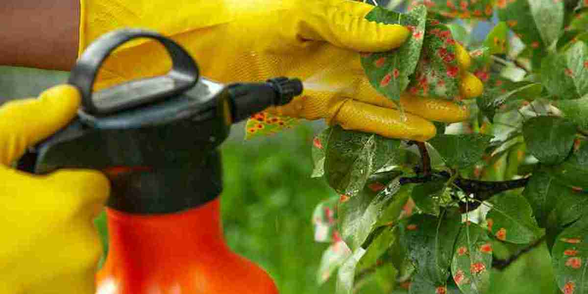Fungicides Market Comprehensive Study Explore Huge Growth in Future