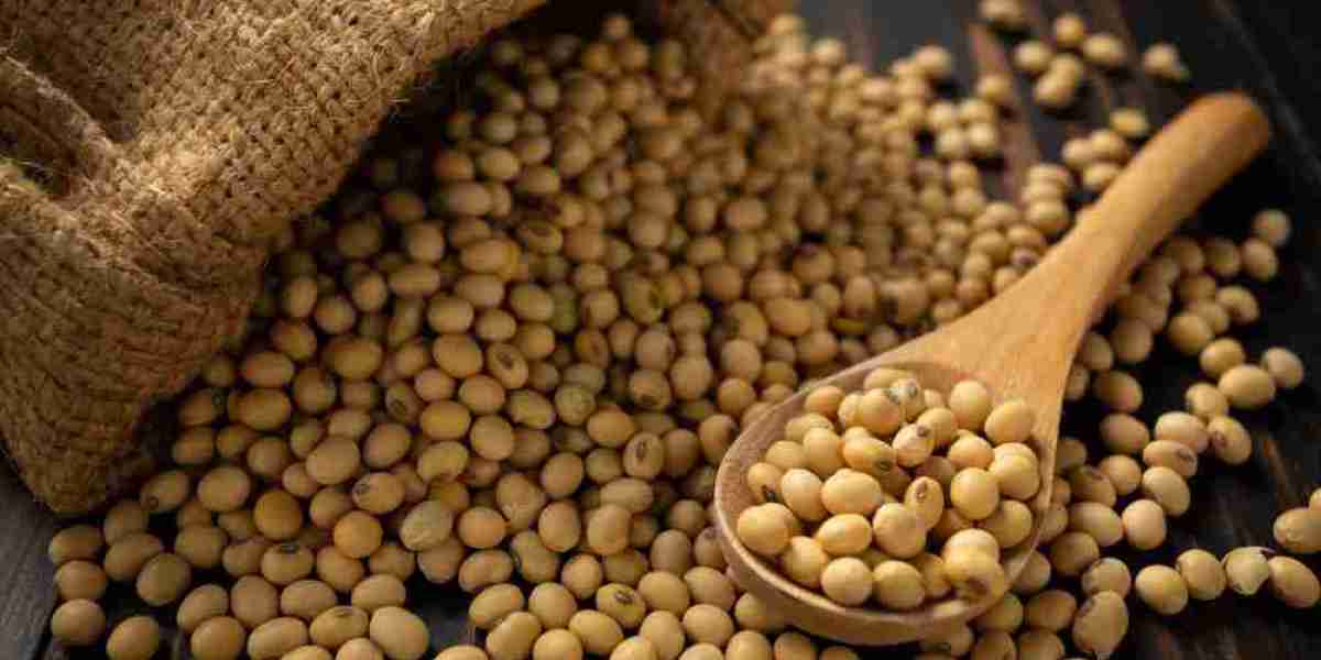 What Is the Importance of Soybean Production in India's Agriculture?