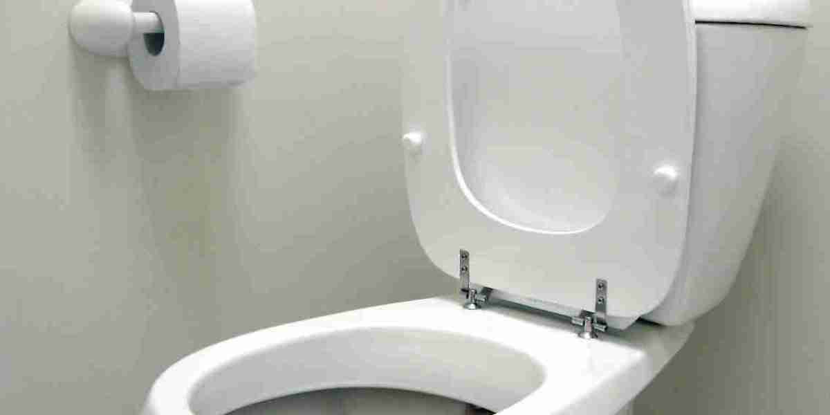 Toilet Seat Market to Witness Growth Acceleration During 2022 – 2030
