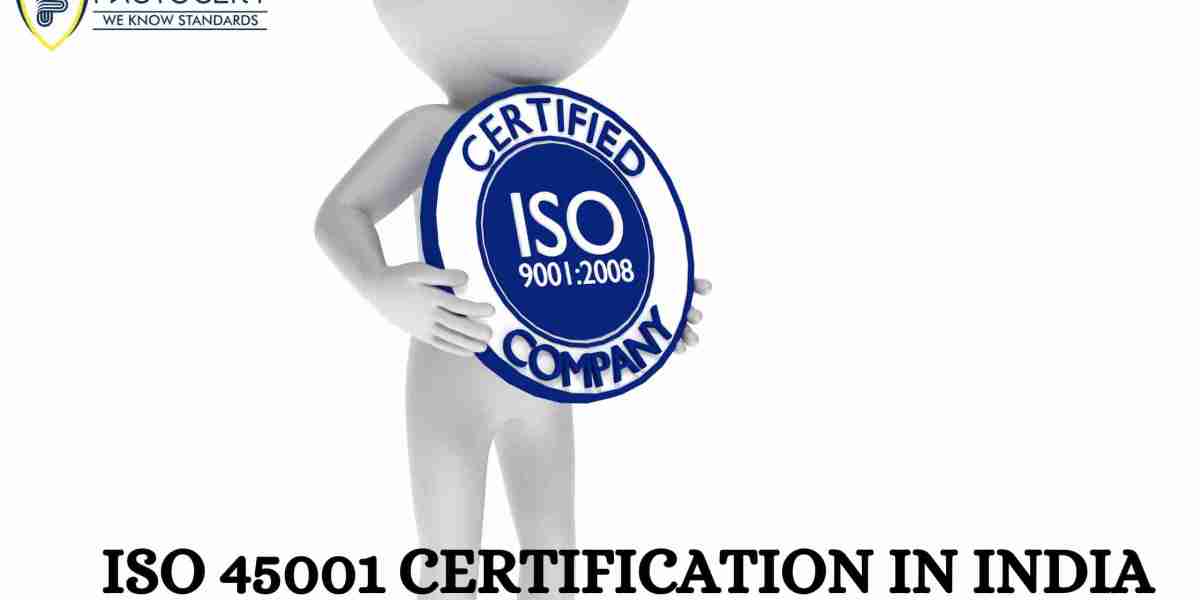 What are the initial steps an organization should take to start the ISO 45001 certification in India process?