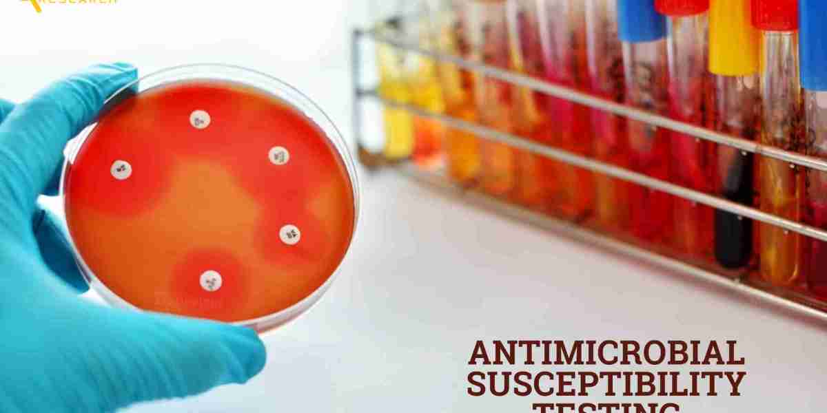 Antimicrobial Susceptibility Testing Market Size, Share, Forecast, & Trends Analysis