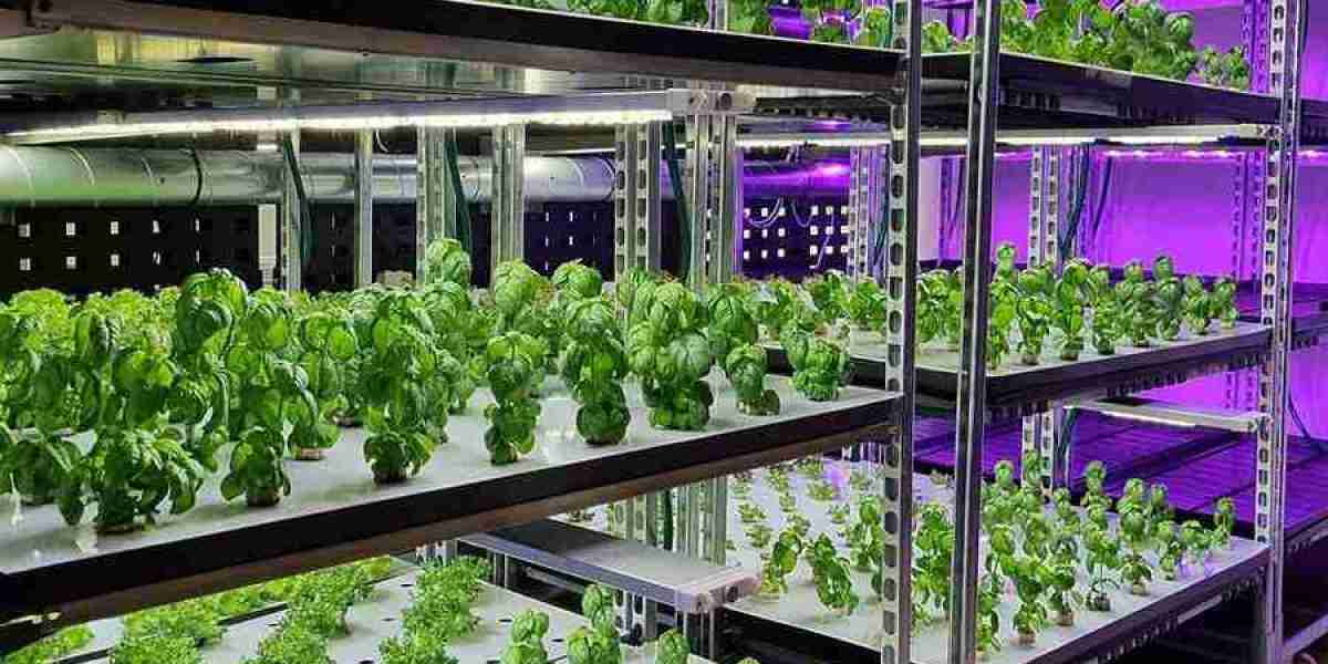 Vertical Farming Market to Witness Excellent Revenue Growth Owing to Rapid Increase in Demand