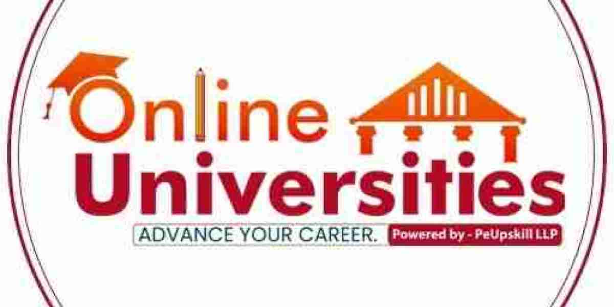 The Promise of Amity University Online Education With Online universities