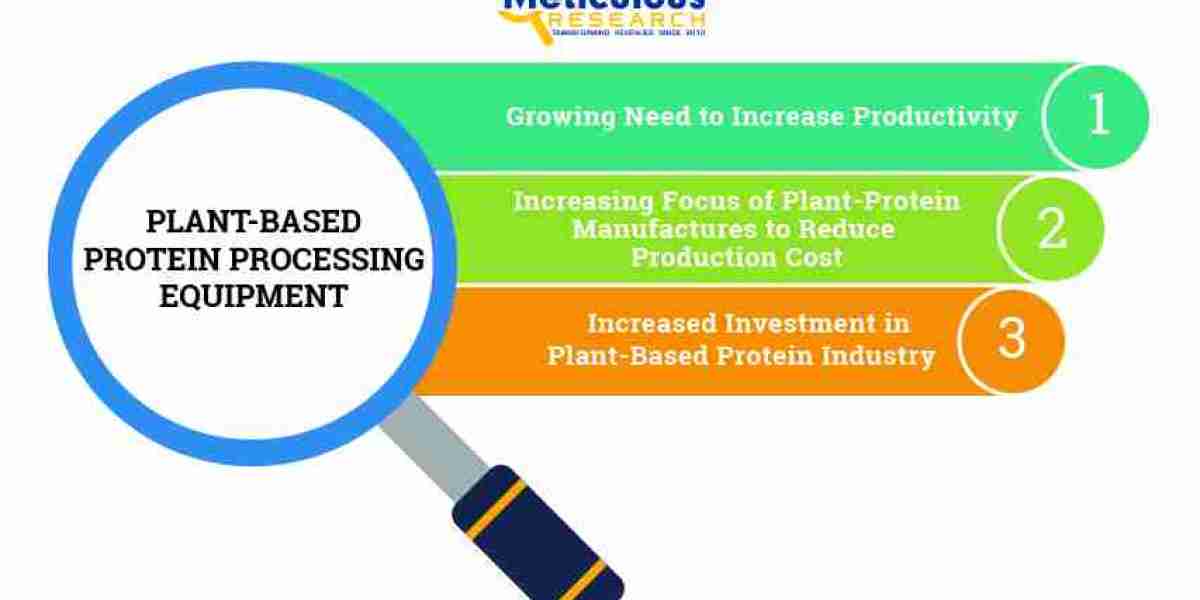 Expected Surge: Plant-based Protein Processing Equipment Market to Reach $1.68 Billion by 2029