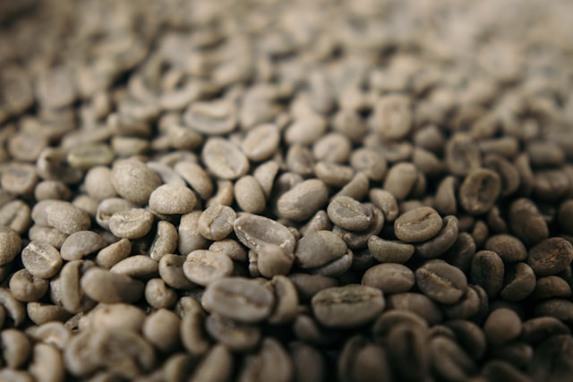Green Coffee Bean for Weight Loss: Fact or Myth?