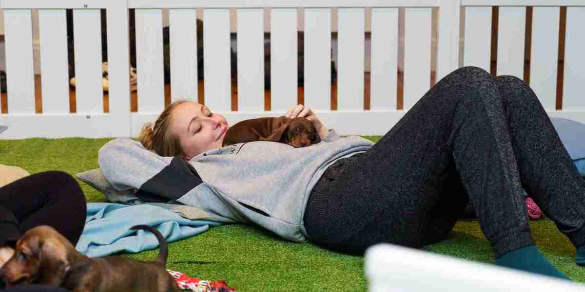 How Can Puppy yoga classes London Help Build Social Skills for Pups